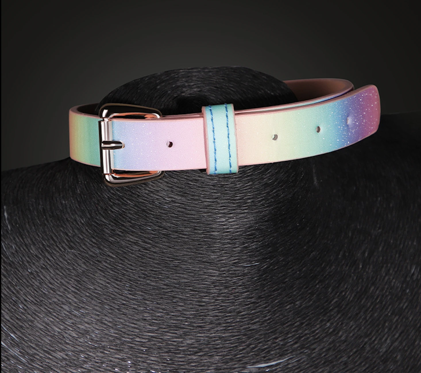 Rainbow Pastel Collar with Leash - Image 3