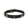 Leather Collar with Spikes