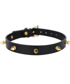 Leather Collar with Spikes