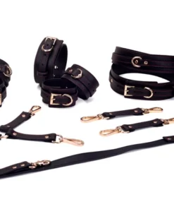 Burgundy BDSM Restraint Set(black)
