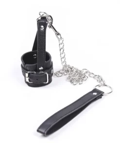 Alternative view of Control Cage